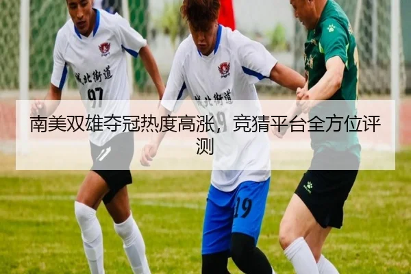 南美双雄夺冠热度高涨，竞猜平台全方位评测